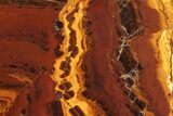 Polished Desert Sunset Banded Iron - Western Australia #96237-1